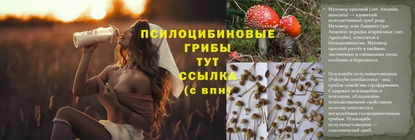 ешки Белоозёрский