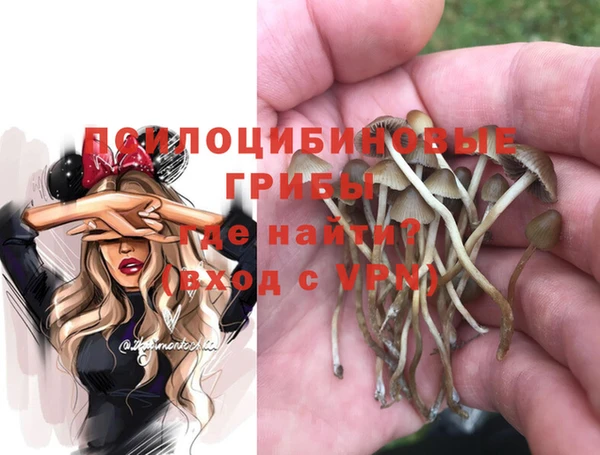 мяу мяу мука Белокуриха