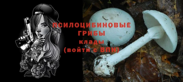спиды Бугульма