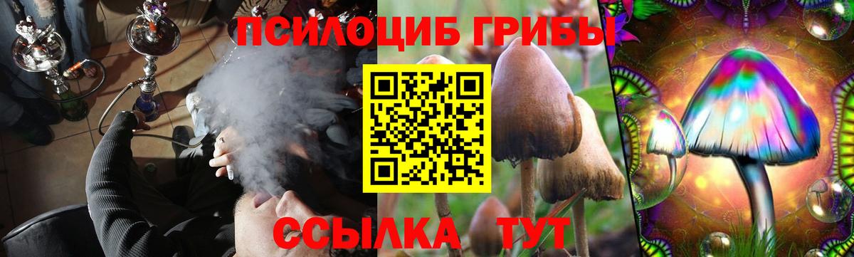 Псилоцибиновые грибы мицелий  Псилоцибиновые грибы Magic Shrooms  Вход с VPN  Свободный 